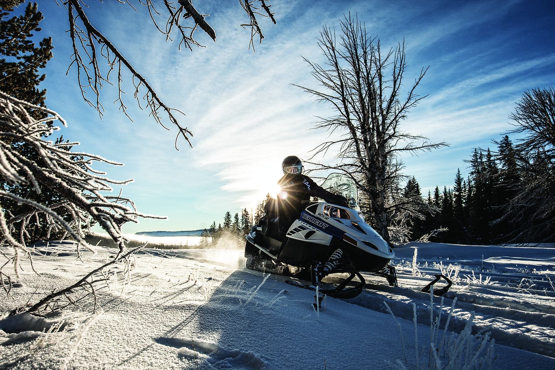 2017 Arctic Cat Bearcat LT