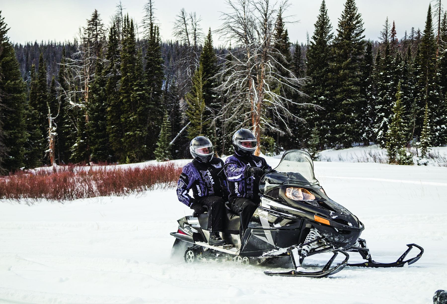 2017 Arctic Cat Lynx LT 2000