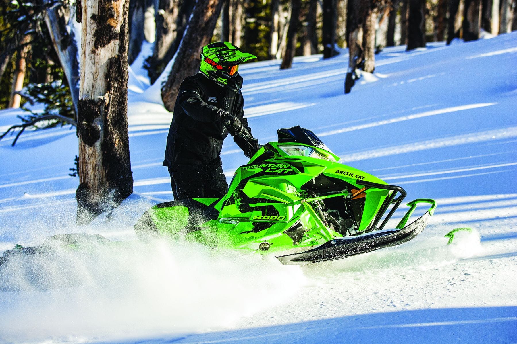 2017 Arctic Cat M MOUNTAIN CAT 8000 (153)