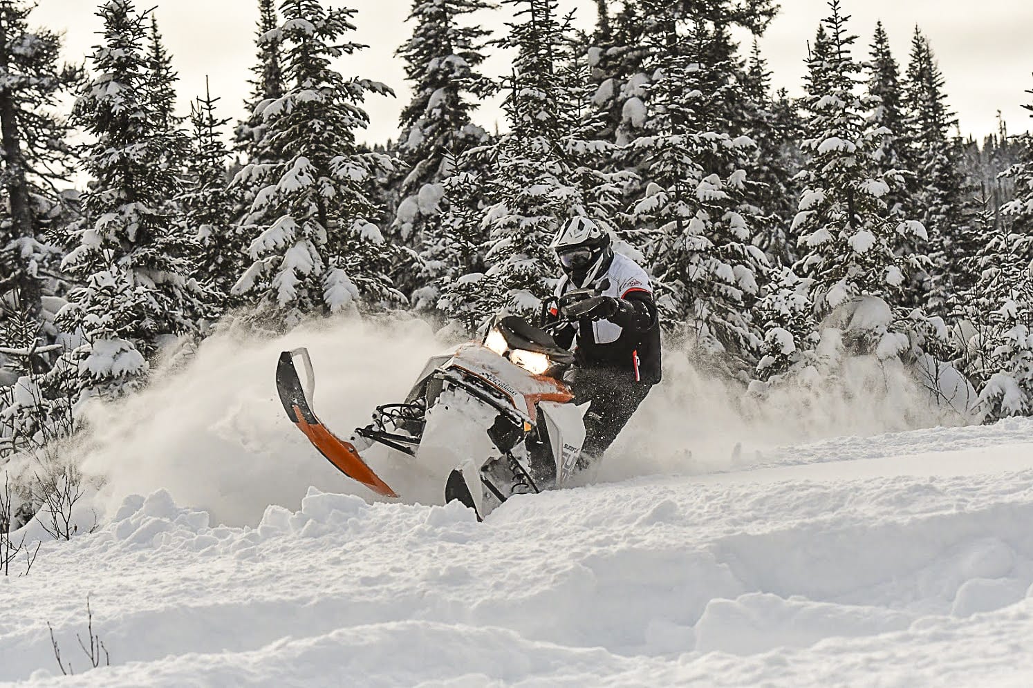 2017 Ski-Doo Summit 850 E-TEC 154 Essai