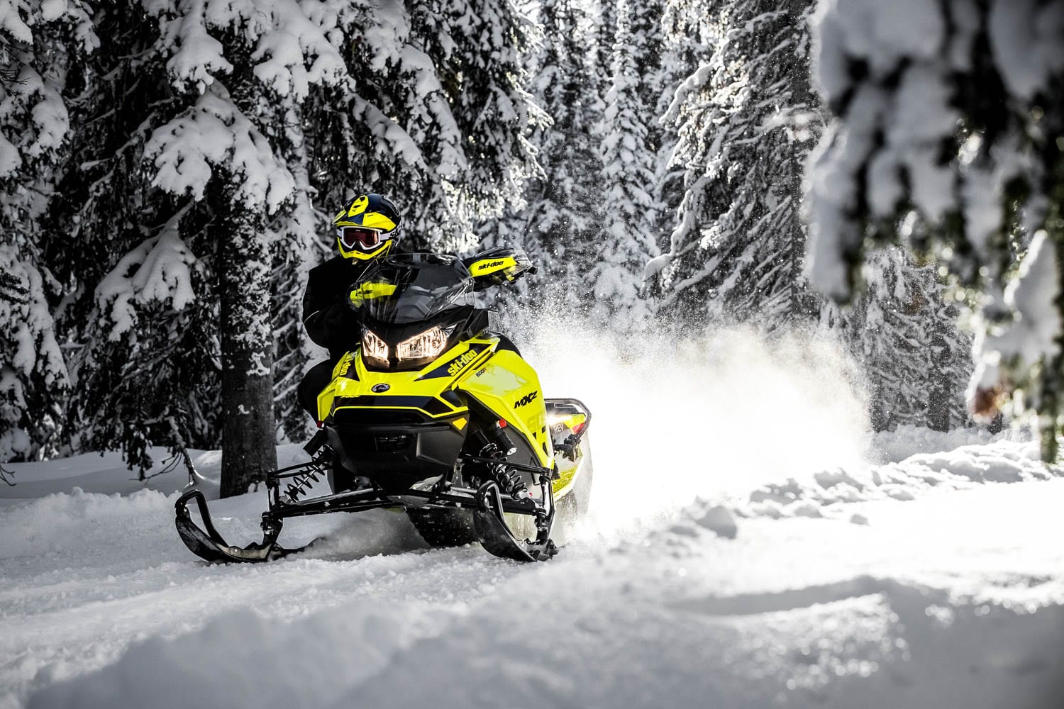 Ski doo цены