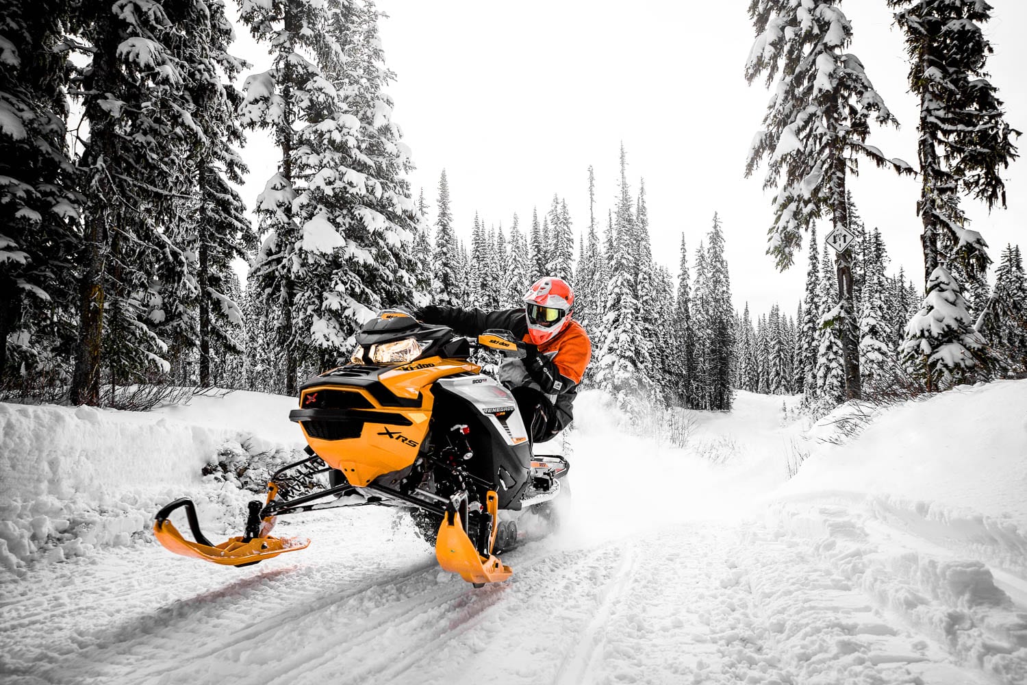 Ski-Doo Renegade 2019