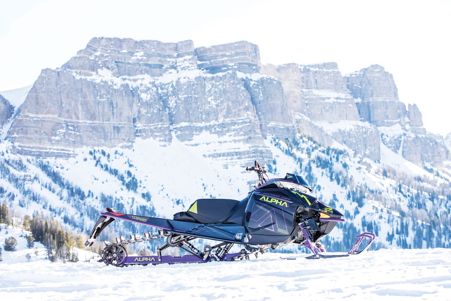 Arctic Cat Alpha One 2019