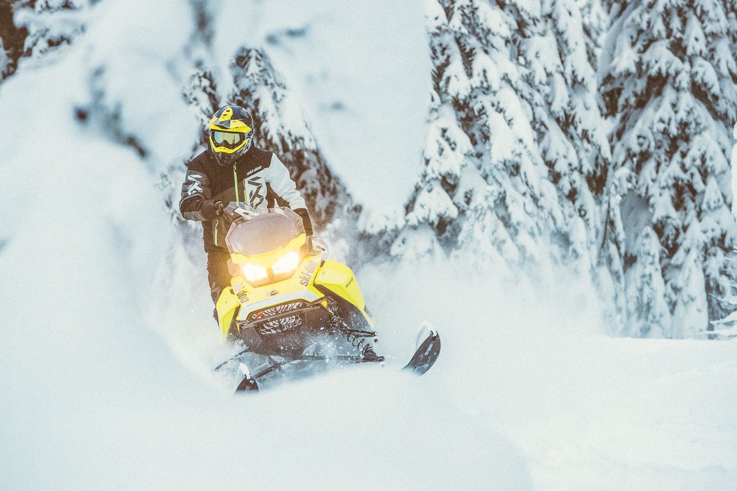 SKI-DOO BACKCOUNTRY X 2020