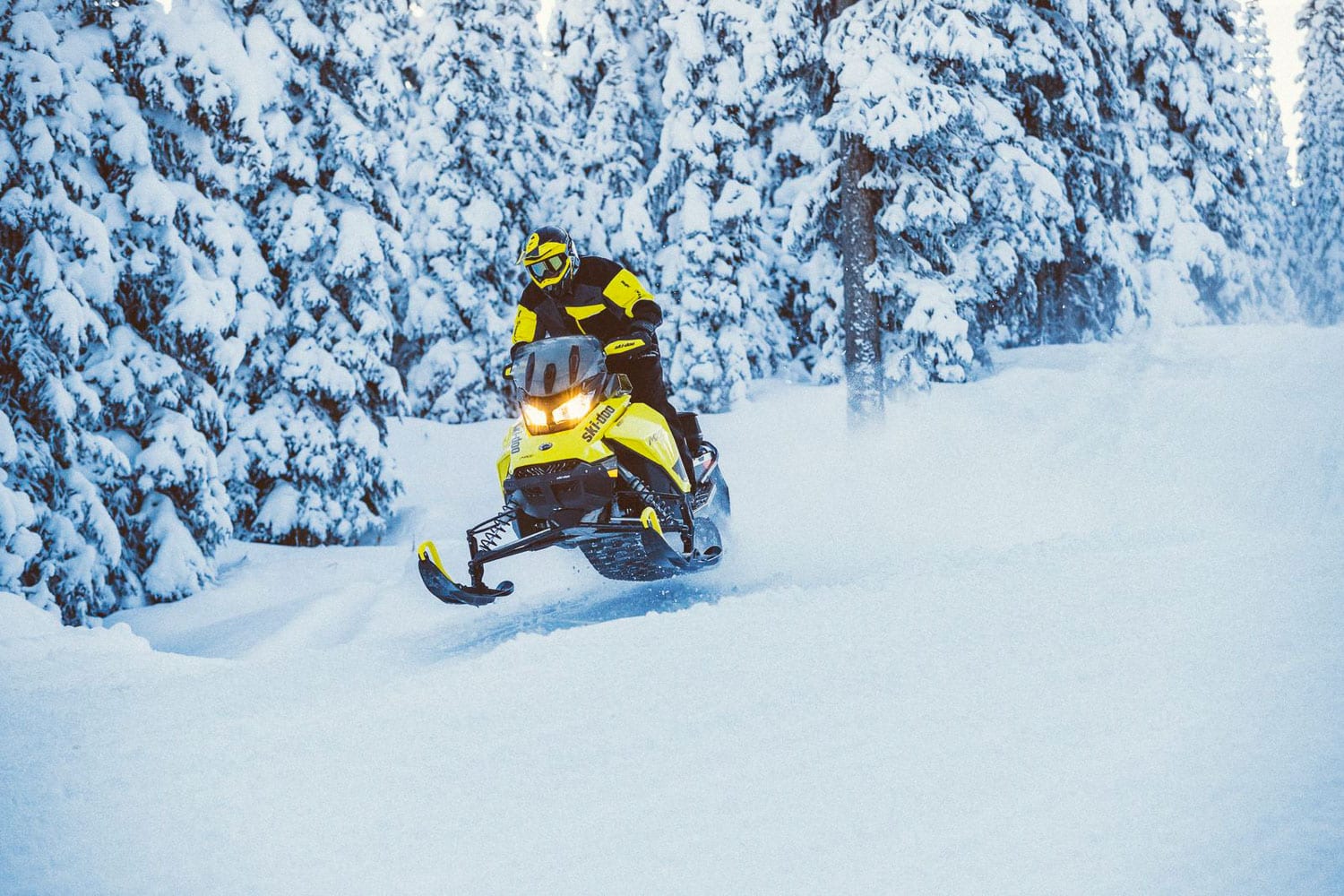 SKI-DOO MXZ TNT 2020