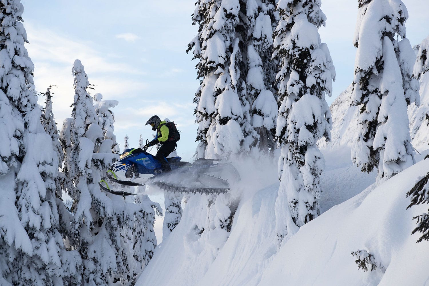 Ski-Doo Freeride 2020