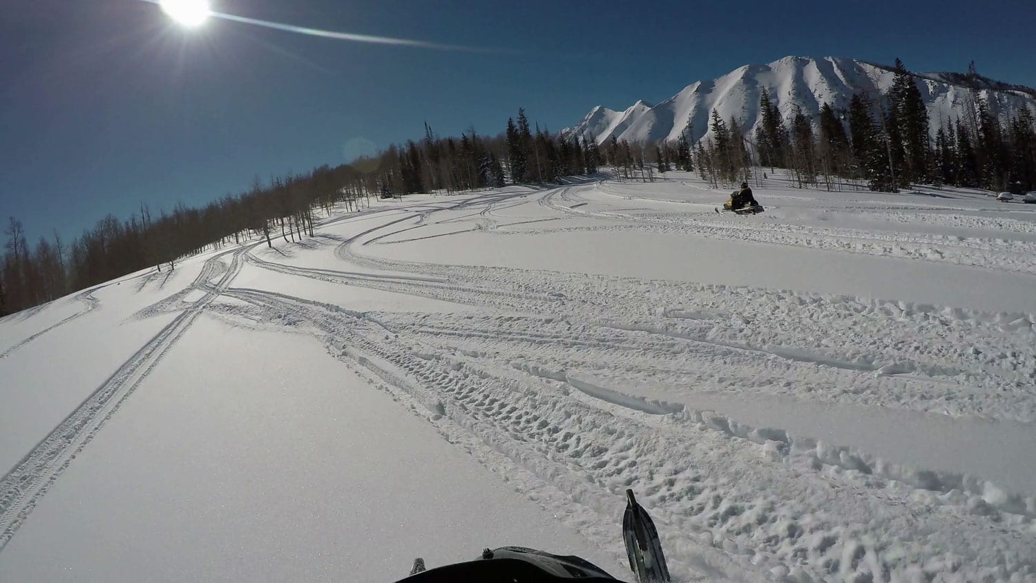 Skis de Remplacement Kimpex