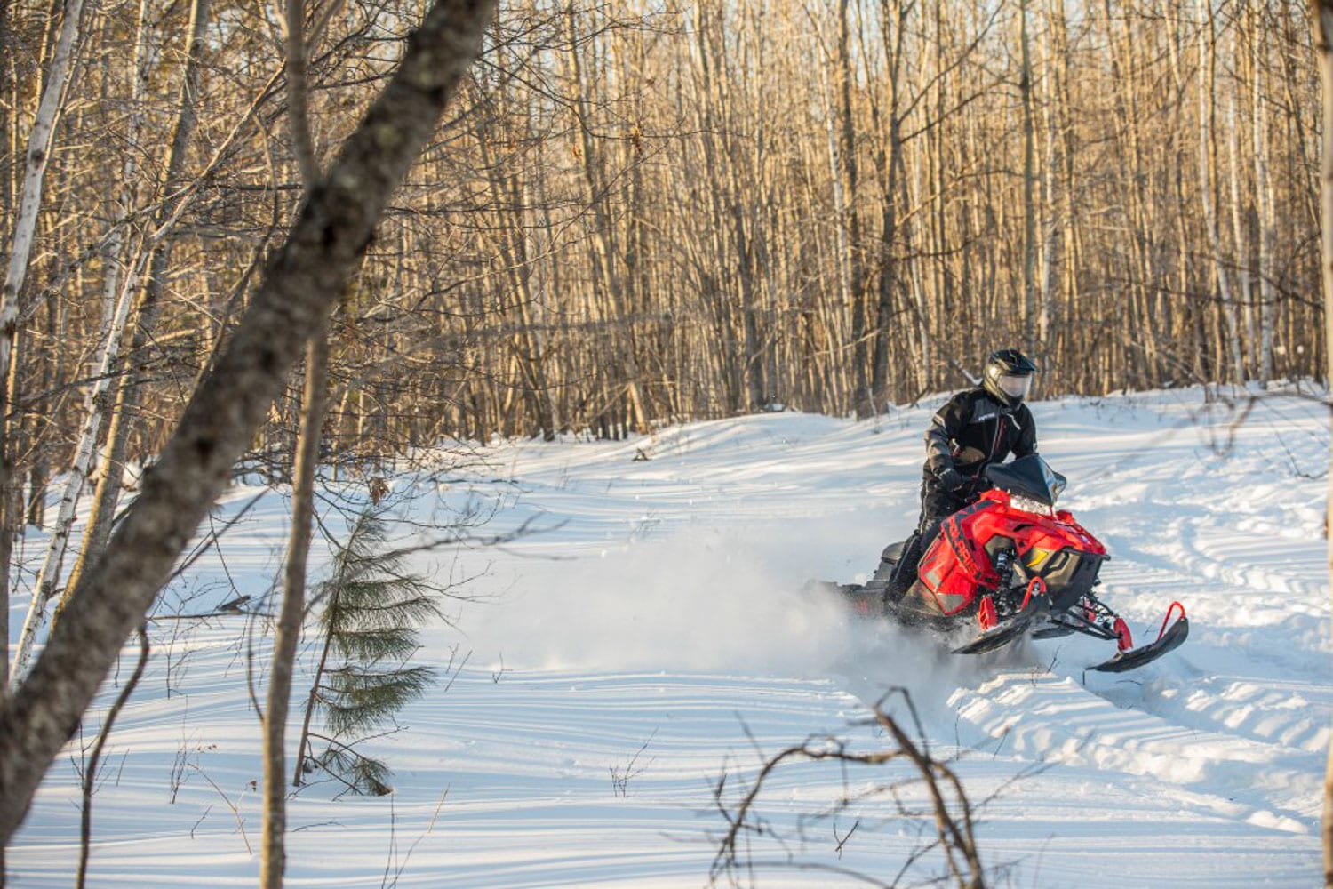 Polaris TITAN 2020