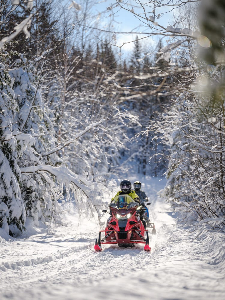 Le Bas-Saint-Laurent vous déroule le tapis blanc!