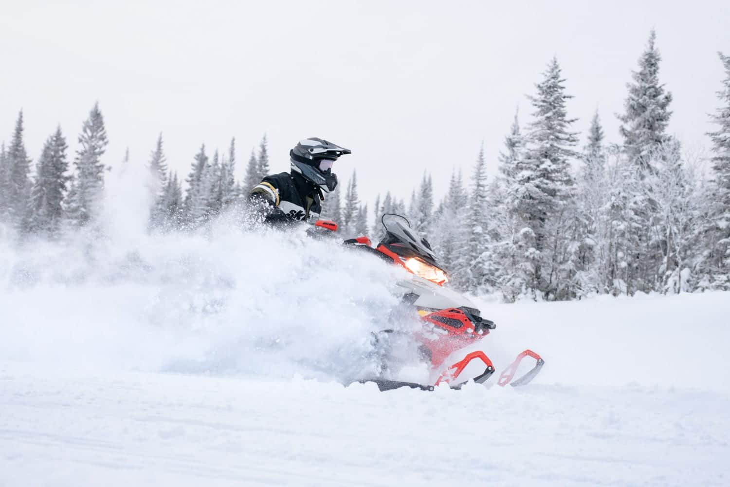 SKI-DOO MXZ 2022