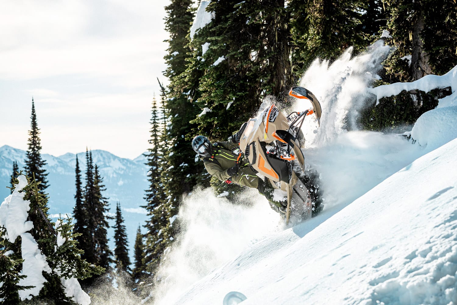 Ski-Doo Freeride 2022