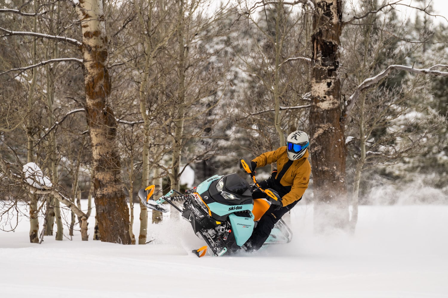 SKI-DOO-BACKCOUNTRY-2024