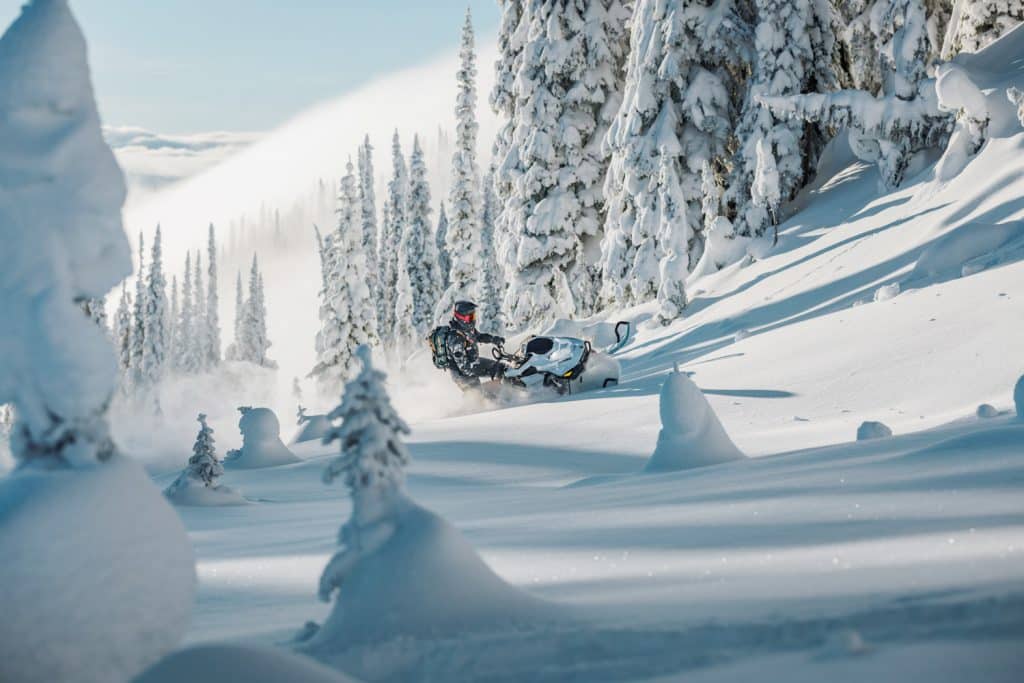 SKI-DOO-FREERIDE