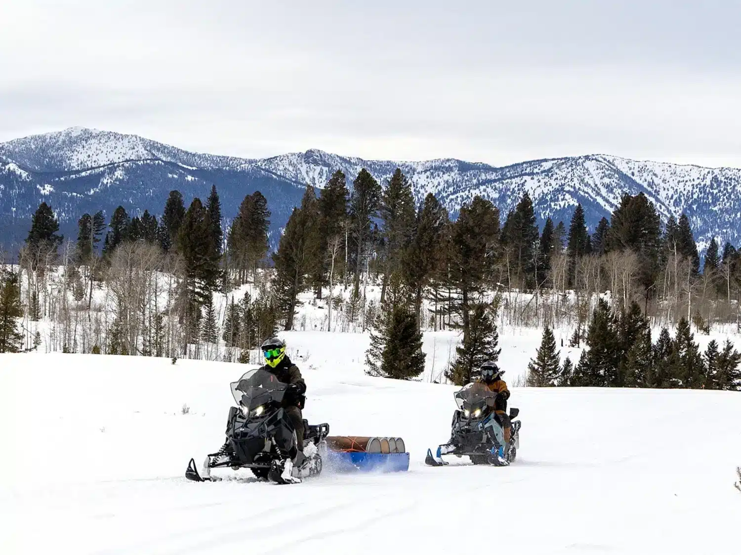 Polaris 650 Voyageur 155 2026