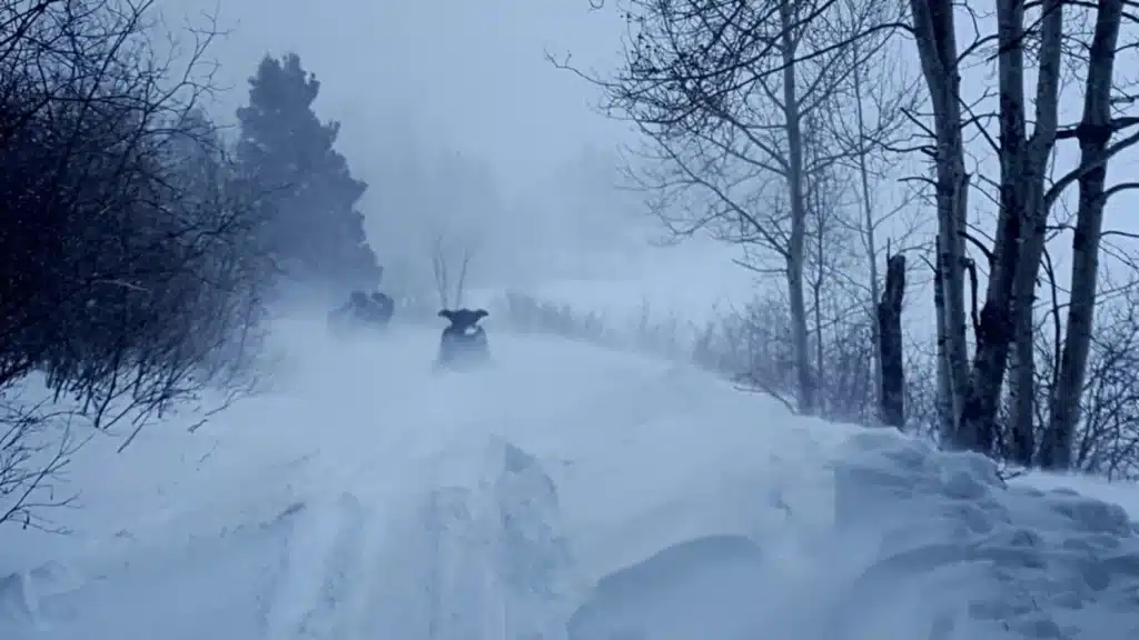 Photo 2 - Tempête – grande taille