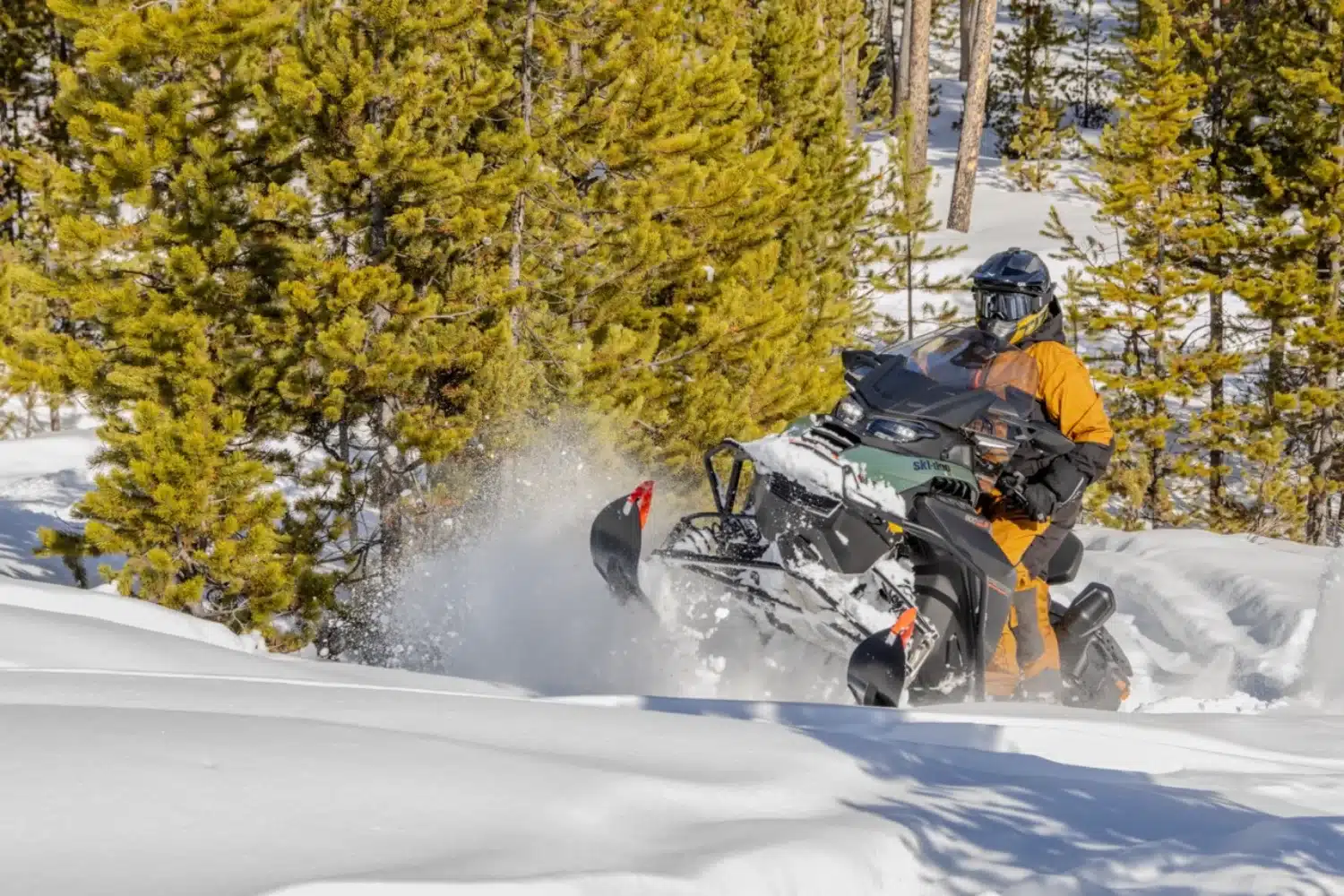 Ski-Doo Expedition SE 2026