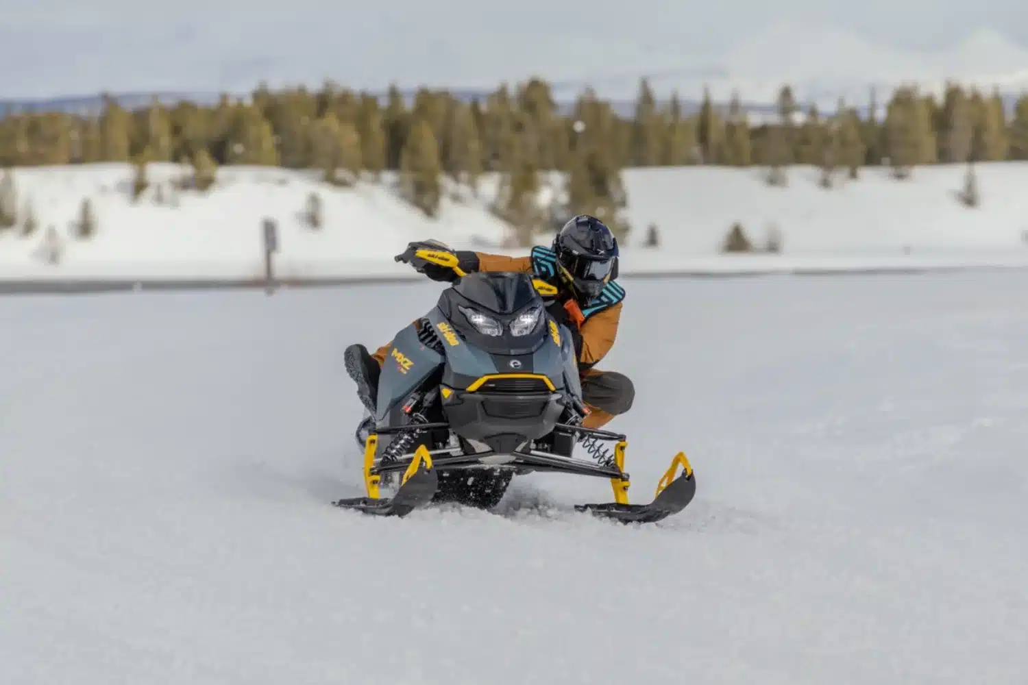 Ski-Doo MXZ XRS 600