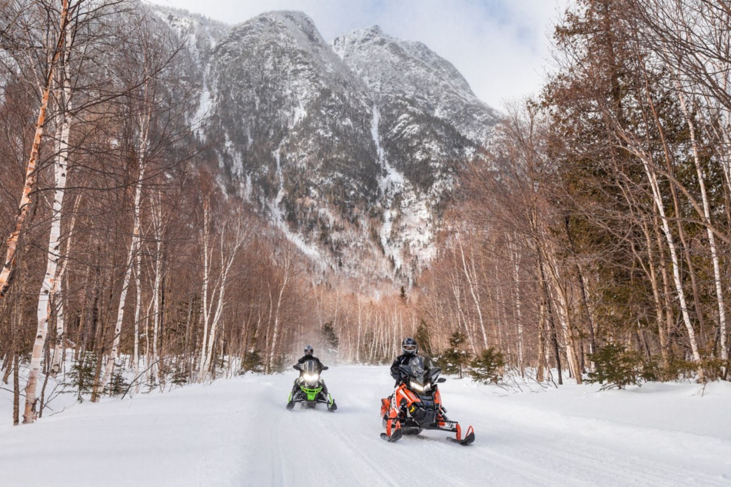 Les Chic-Chocs / Roger Saint-Laurent