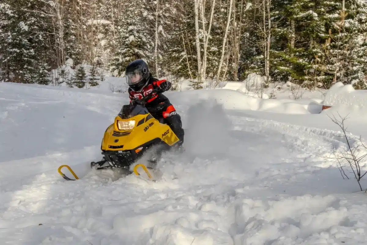 Photo 13 – grande taille