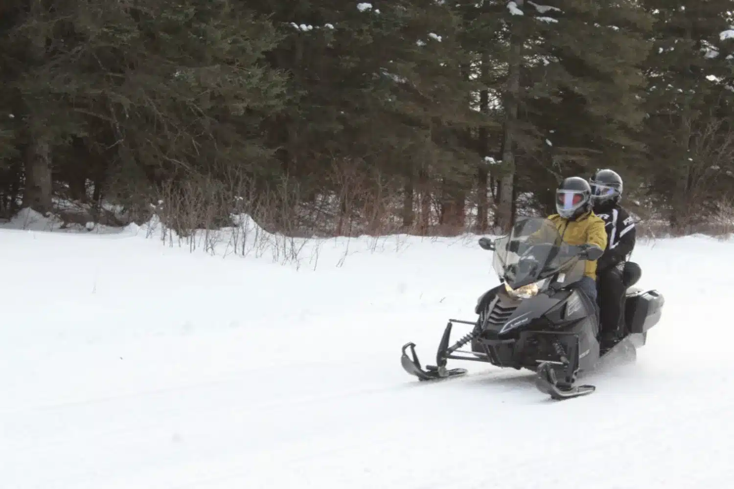 Photo 2 – grande taille