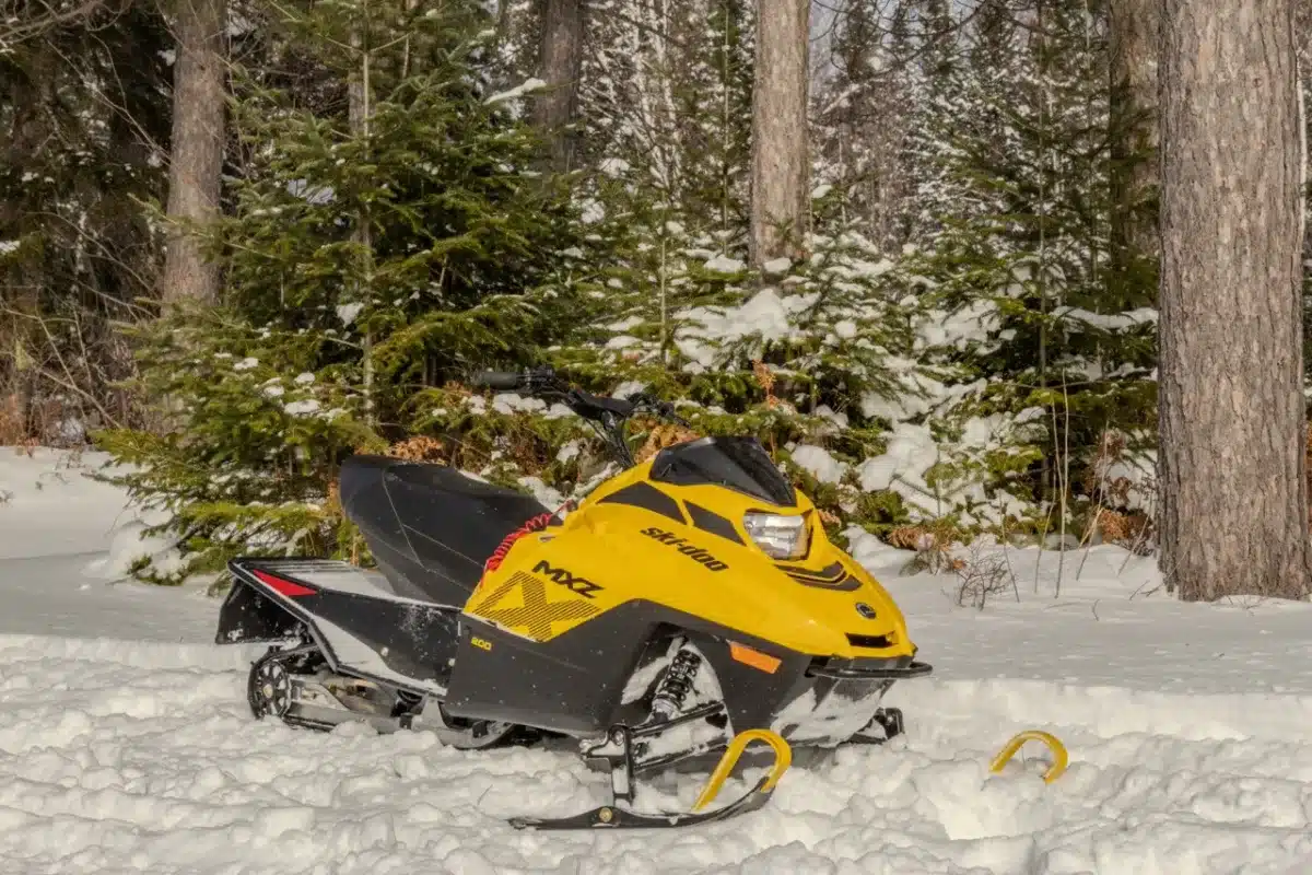 Photo 2 – grande taille