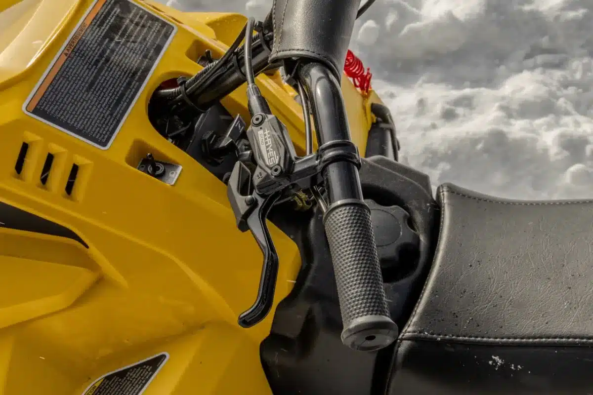 Photo 3 – grande taille