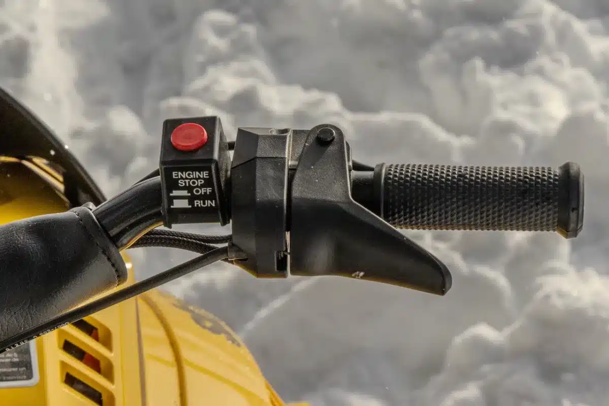 Photo 4 – grande taille