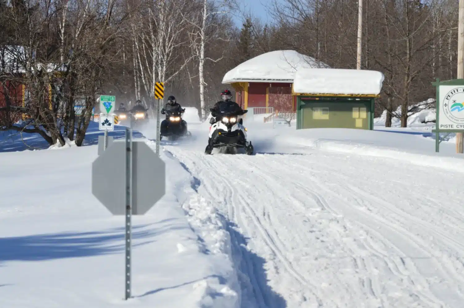 Photo 5 – grande taille