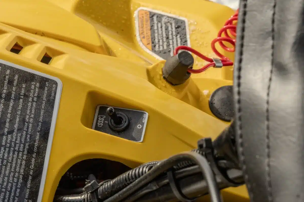 Photo 5 – grande taille