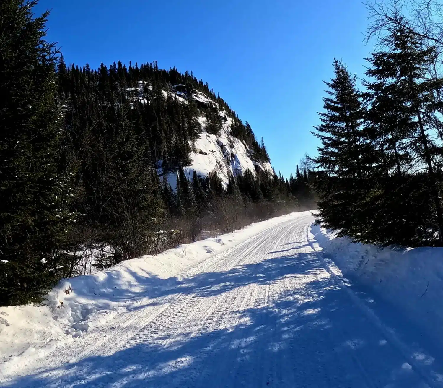 PHOTO 1 - Réserve de Portneuf – grande taille