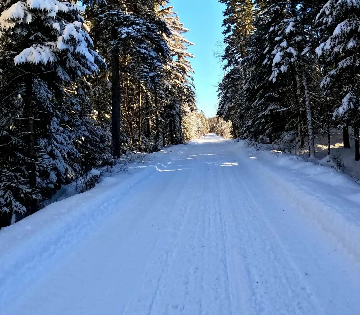 PHOTO 3 - ZEC Jeannotte – grande taille