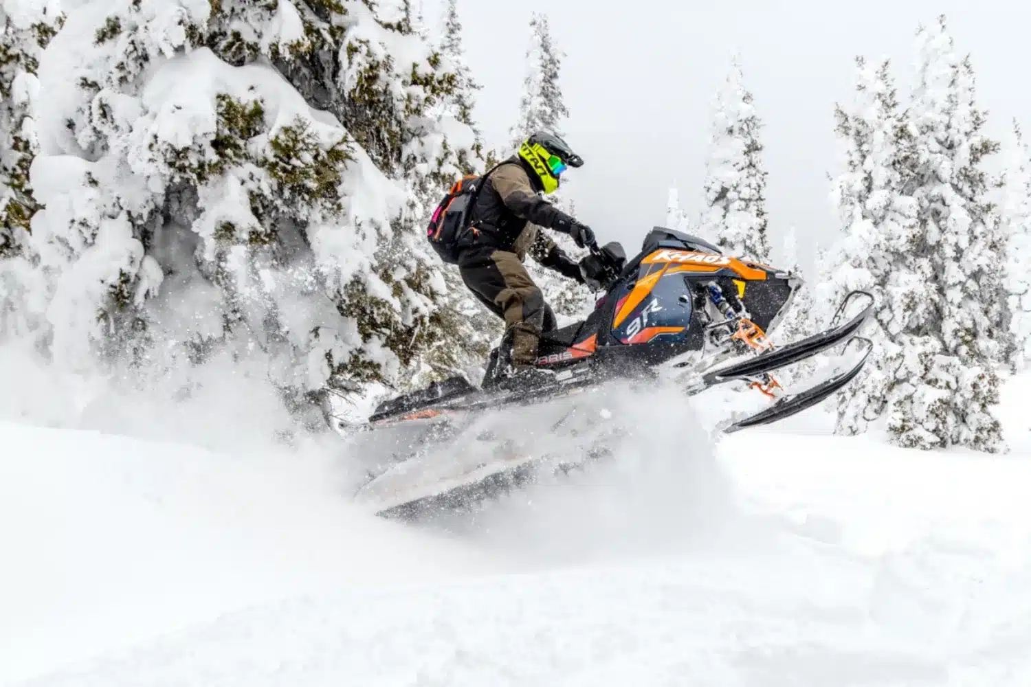 Photo 5 – grande taille