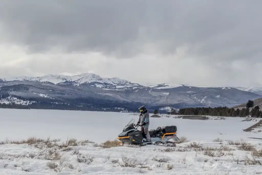 BF7A1434 – grande taille