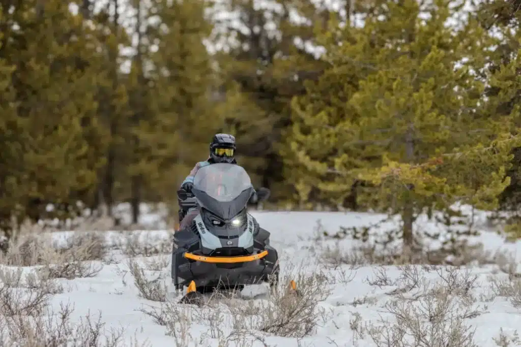 BF7A1474 – grande taille