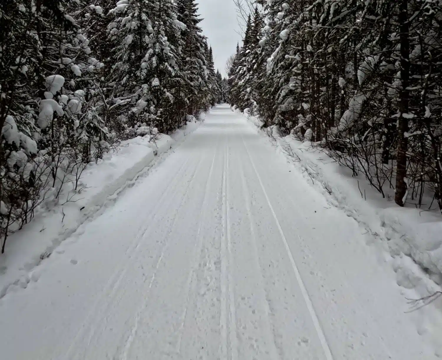 Les sentiers sont invitants par grands froids