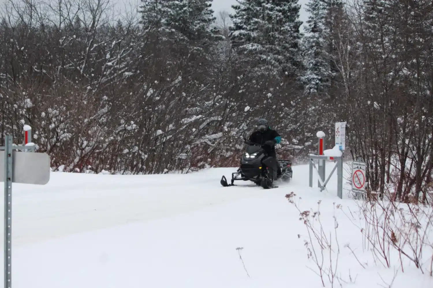Malgré son ADN hors-piste, elle se comporte avec assurance dans les courbes.