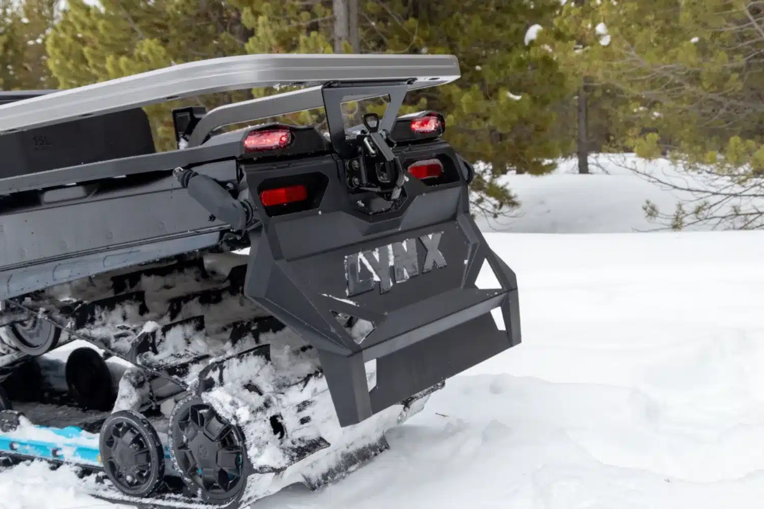 Photo 5 – grande taille