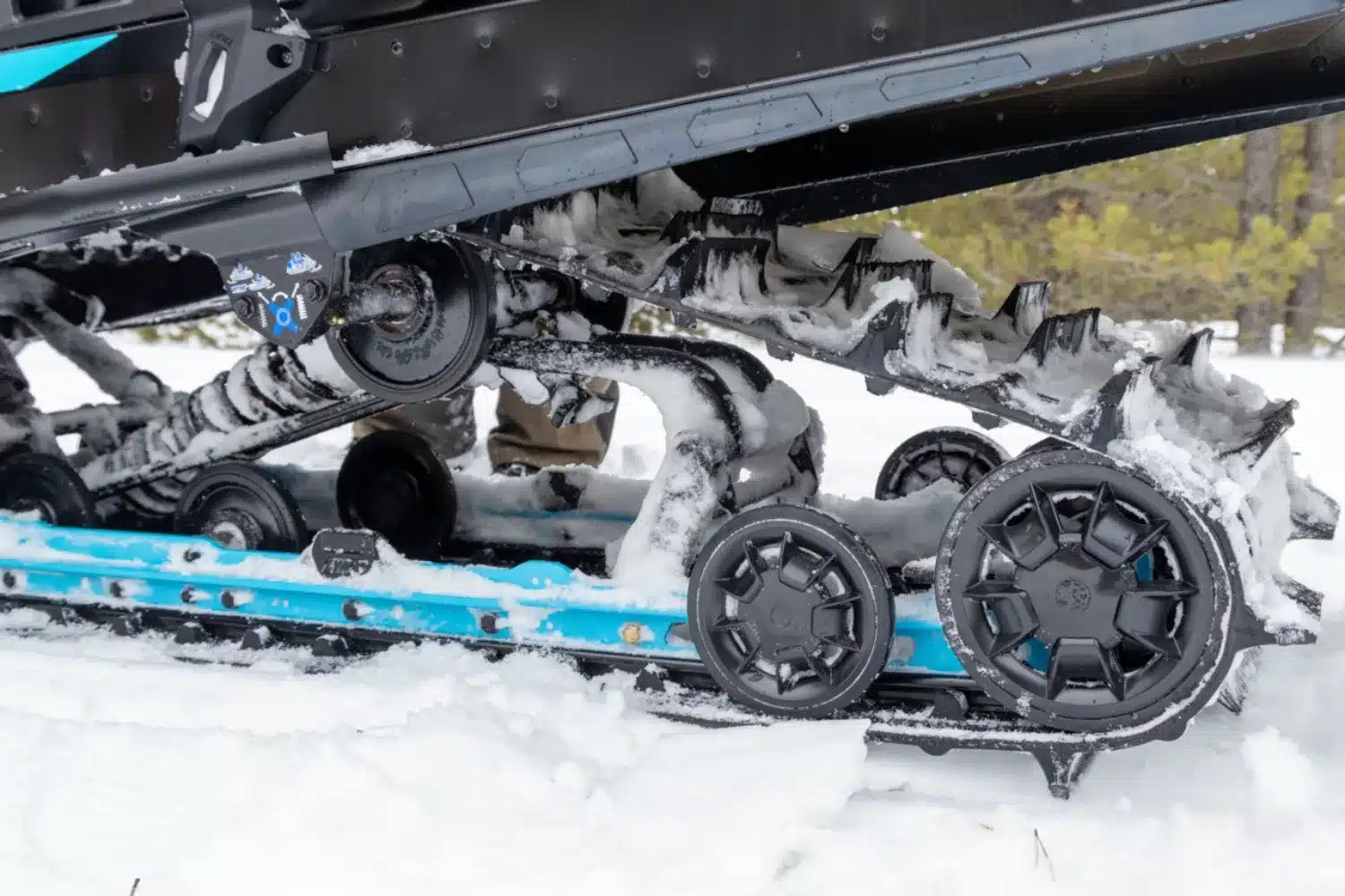 Photo 6.2 – grande taille