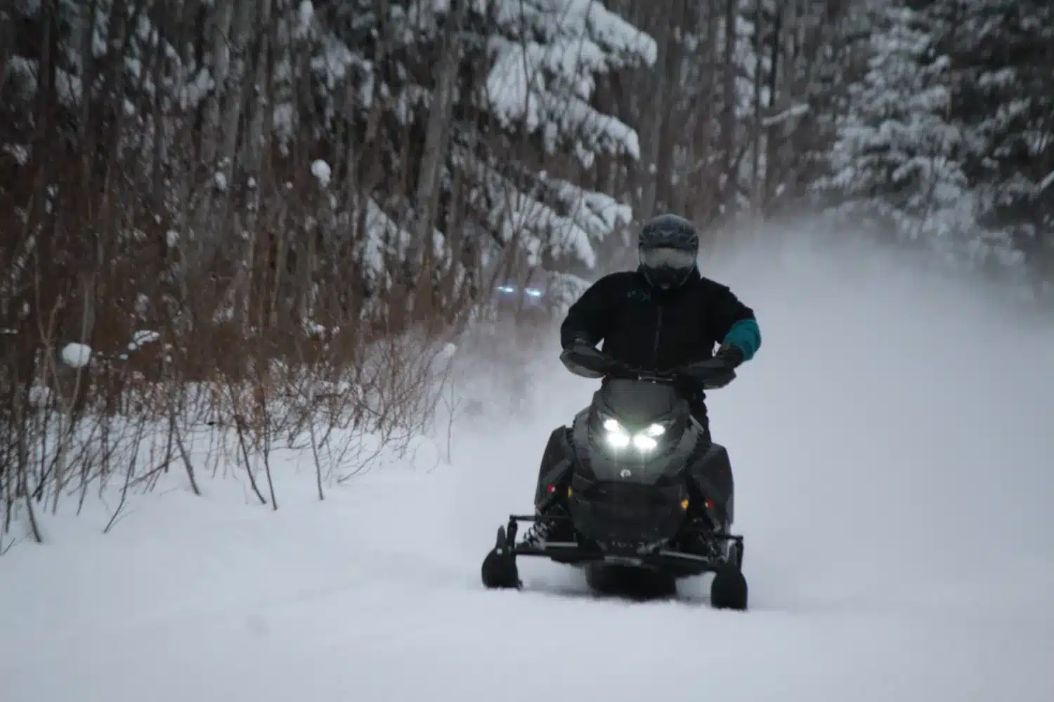 Photo 8 – grande taille