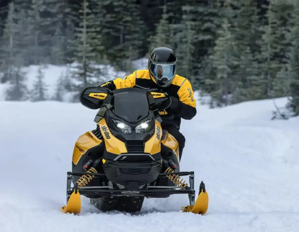 Ski_Doo Renegade