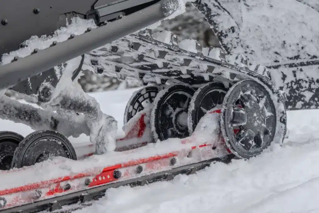 BF7A1579 – grande taille