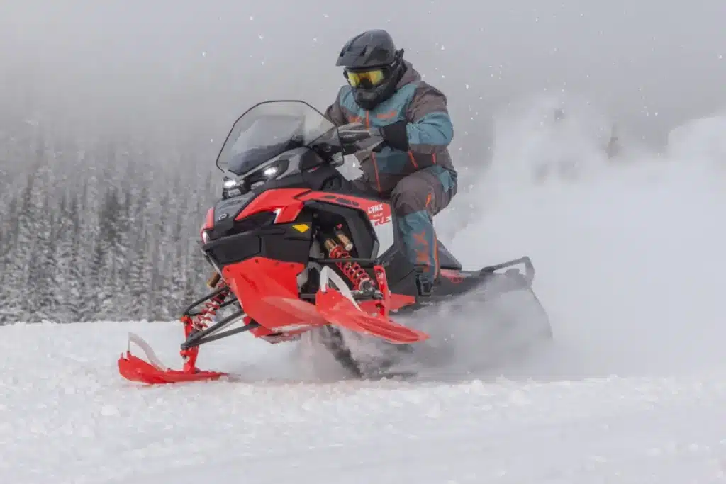 BF7A1707 – grande taille