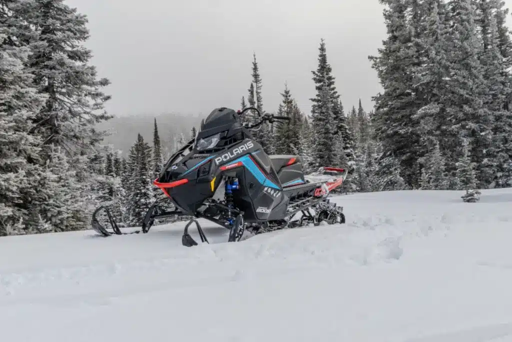 Photo 1.5 – grande taille