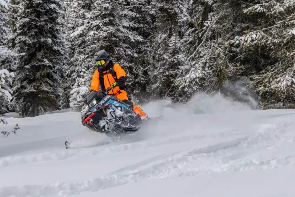 Photo 2 – grande taille