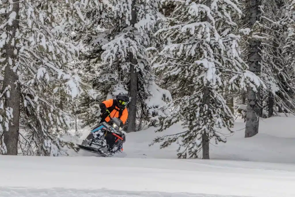 Photo 5 – grande taille