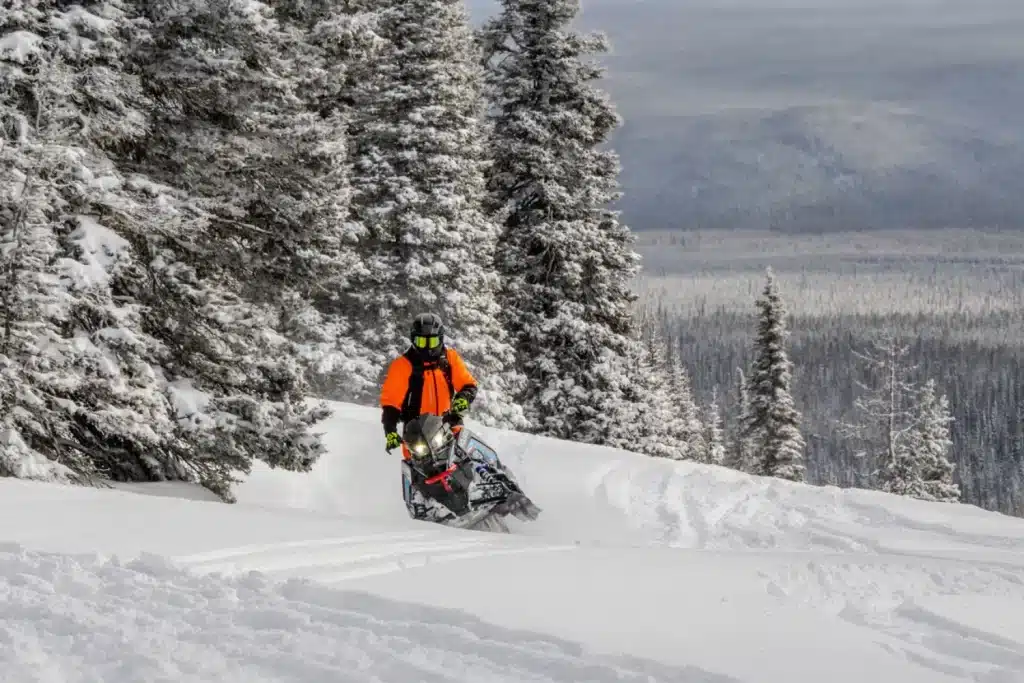 Photo 6 – grande taille