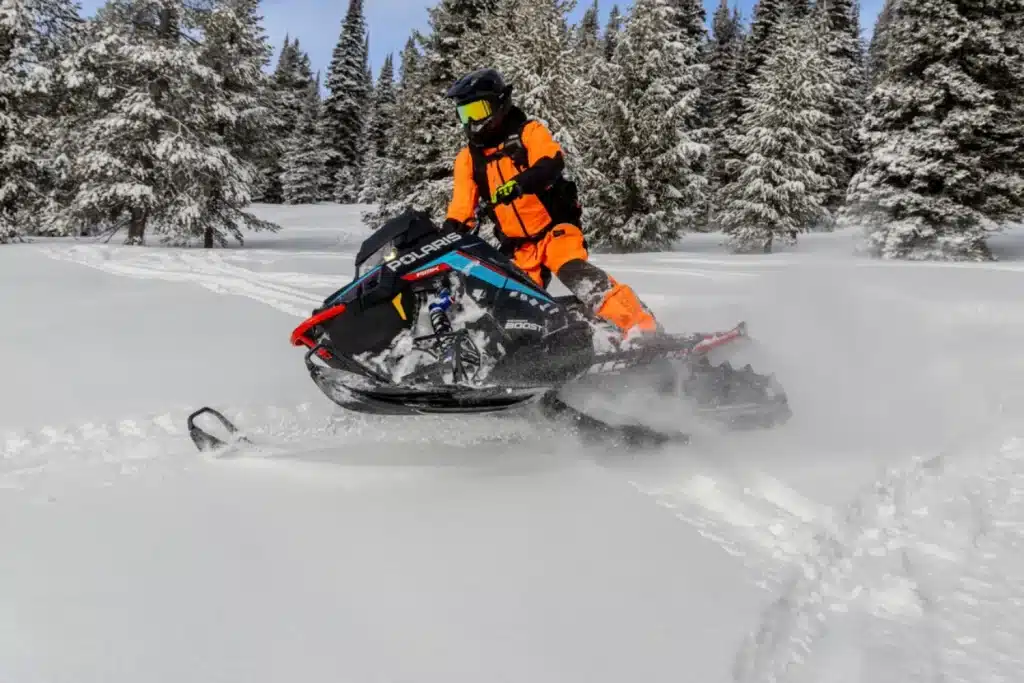 Photo 7 – grande taille