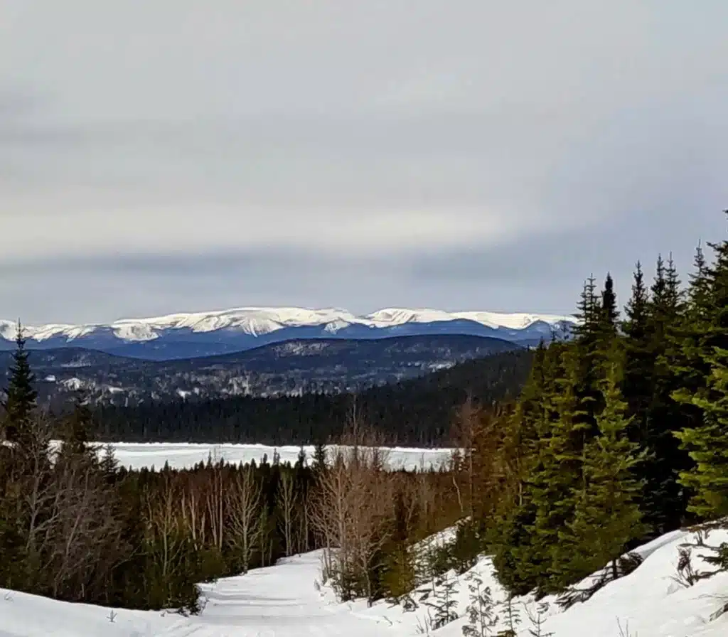 PHOTO 10 - Paysage – grande taille