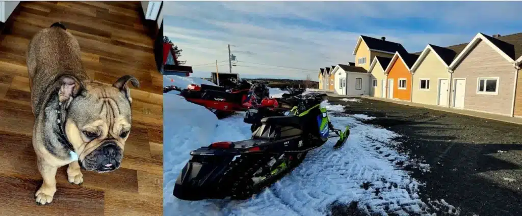 PHOTO 12 - Motel M – grande taille