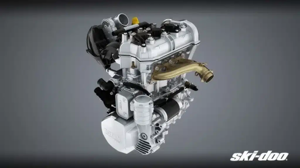 Photo 3.5 – grande taille